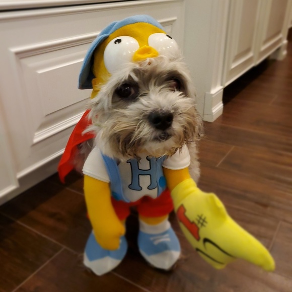 Meet your Posher, Ekaterina - Picture 2 of 2